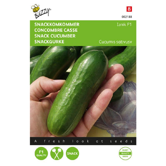 Buzzy® Snack cucumber Iznik F1