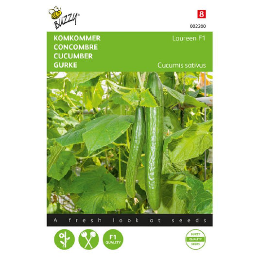 Buzzy® Cucumber Laureen F1 (Euphoria)