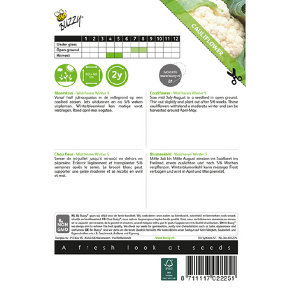 Buzzy® Cauliflower Walcheren Winter 5