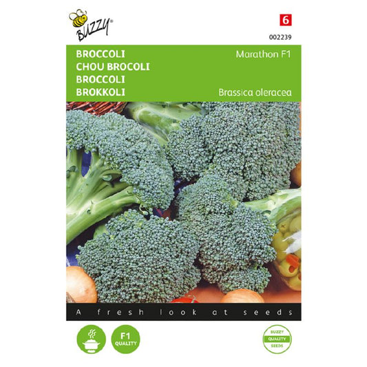 Buzzy® Broccoli Marathon F1