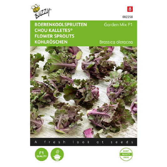 Buzzy® Flower Sprouts Kalettes® Garden Mix F1