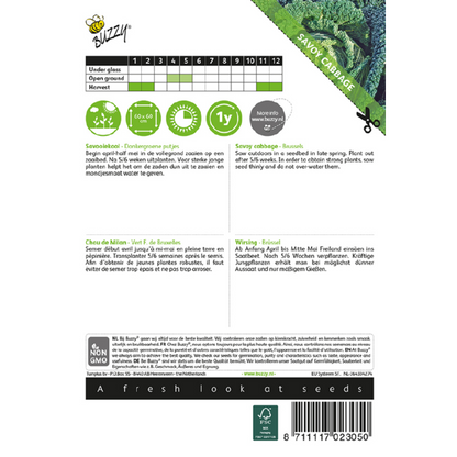 Buzzy® Savoy cabbage Brussels