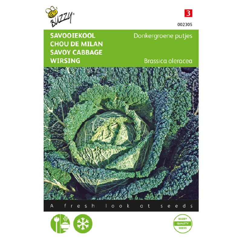 Buzzy® Savoy cabbage Brussels