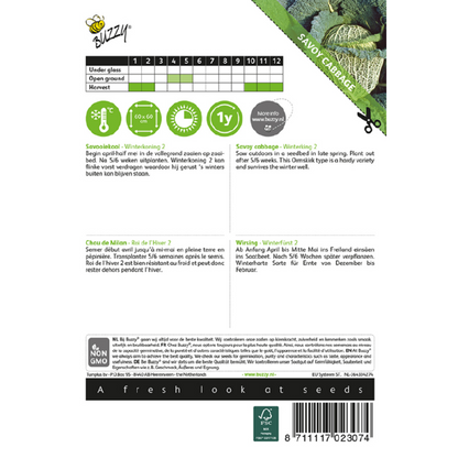 Buzzy® Savoy Cabbage Winterking 2