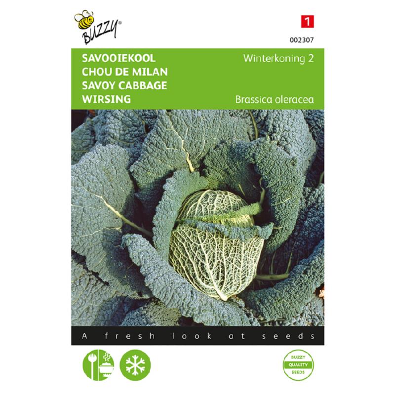 Buzzy® Savoy Cabbage Winterking 2