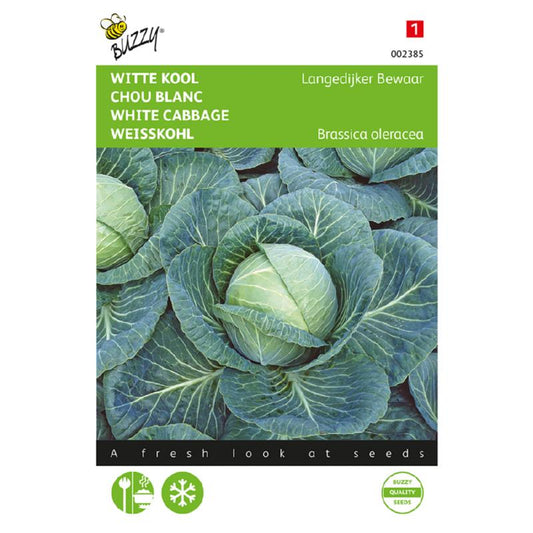 Buzzy® White cabbage Holland Late Winter