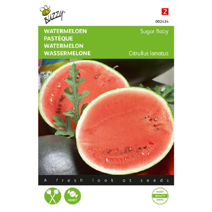 Buzzy® Watermelon Sugar Baby