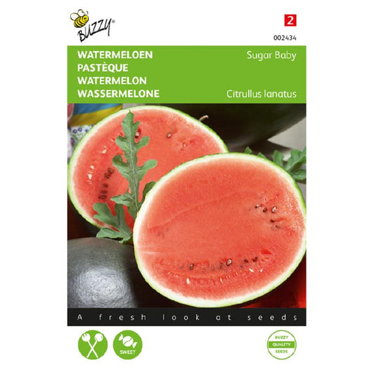 Buzzy® Watermelon Sugar Baby