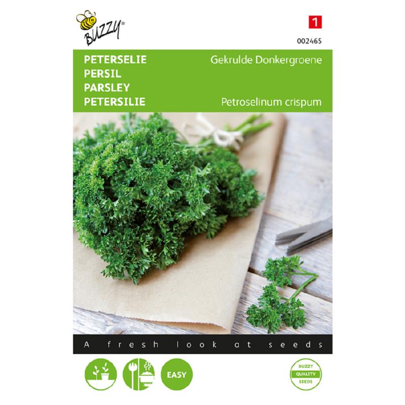 Buzzy® Parsley Frisé vert foncé, Moss Curled 2