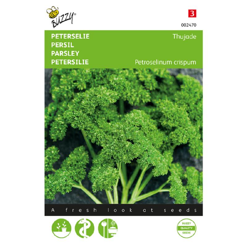 Buzzy® Parsley Thujade, dark green moss curled