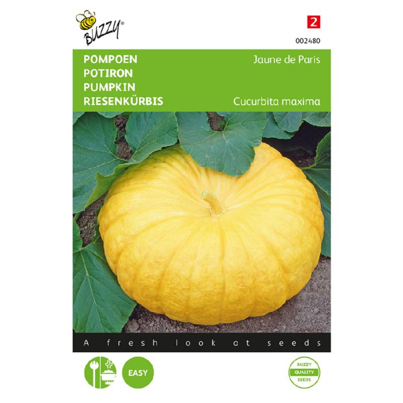 Buzzy® Pumpkin Yellow