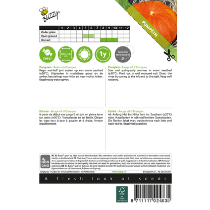 Buzzy® Pumpkin Rouge vif d’Etampes