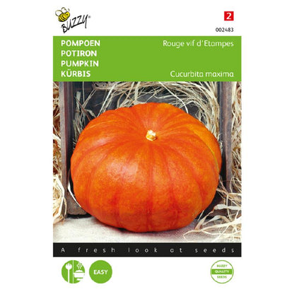 Buzzy® Pumpkin Rouge vif d’Etampes