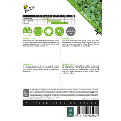 Buzzy® Purslane Green