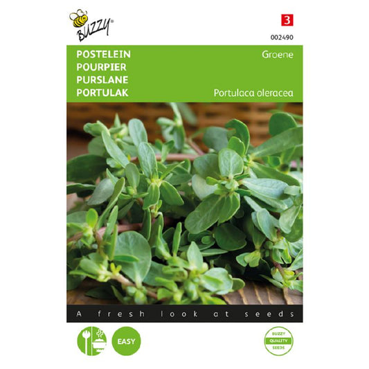 Buzzy® Purslane Green