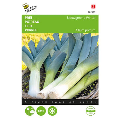 Buzzy® Leek Bluegreen Winter