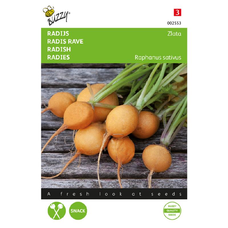 Buzzy® Radish Zlata Yellow Round