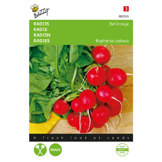 Buzzy® Radish Bel Image, short Foliage