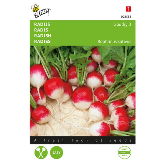 Buzzy® Radish Gaudry 3