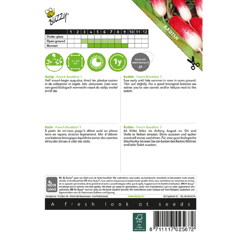 Buzzy® Radish French breakfast 3