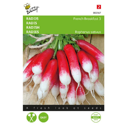 Buzzy® Radish French breakfast 3