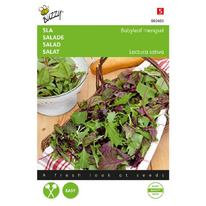 Buzzy® Salad Babyleaf mixture