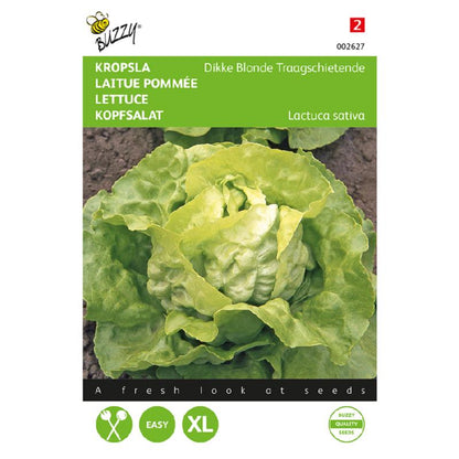 Buzzy® Lettuce Grosse Blonde Paresseuse