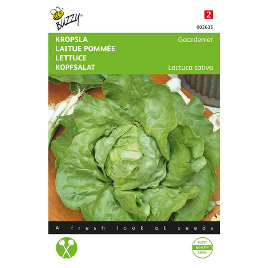 Buzzy® Lettuce Butterhead Du Bon Jardinier