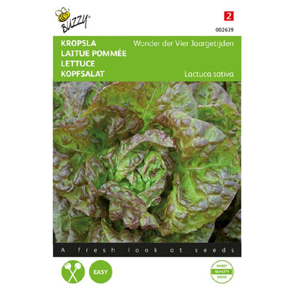 Buzzy® Lettuce Merveille Four Seassons