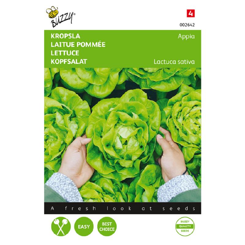 Buzzy® Lettuce Appia