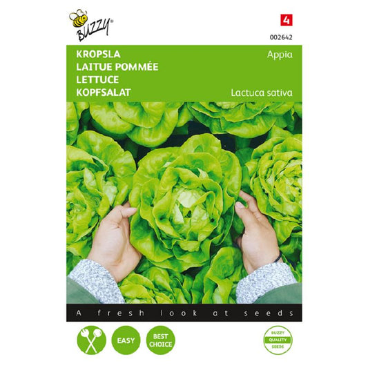 Buzzy® Lettuce Appia