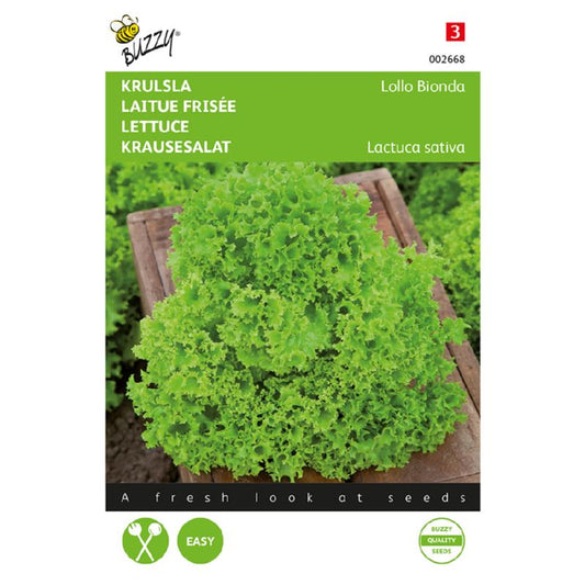 Buzzy® Lettuce Lollo Bionda