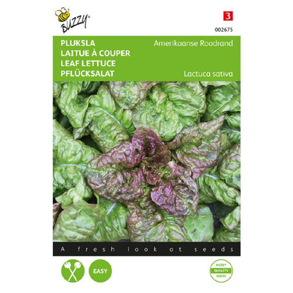 Buzzy® Leaf Lettuce American brown