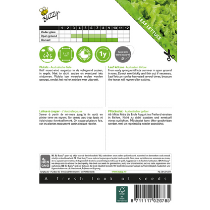 Buzzy® Leaf lettuce Australian Yellow