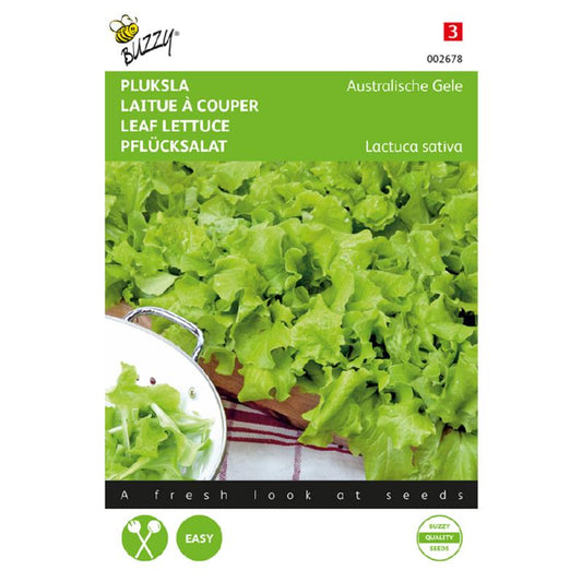 Buzzy® Leaf lettuce Australian Yellow