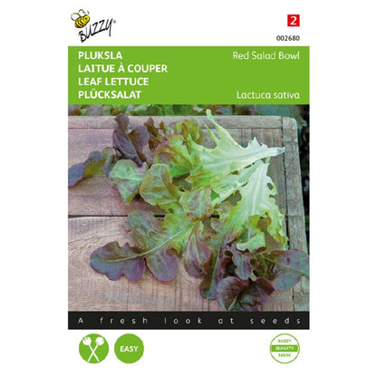 Buzzy® Leaf Lettuce Red Salad Bowl