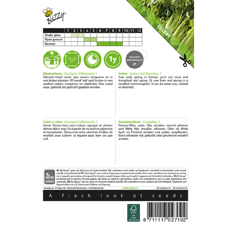 Buzzy® Celery Golden Self Blanching 2