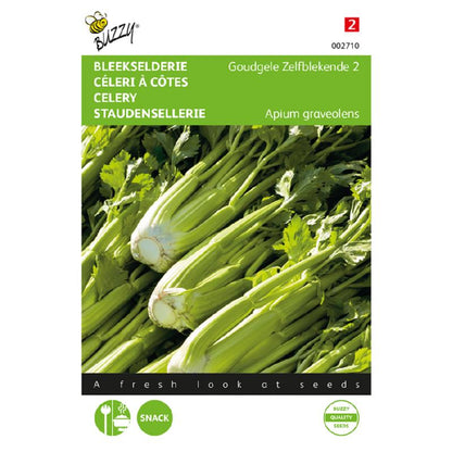 Buzzy® Celery Golden Self Blanching 2