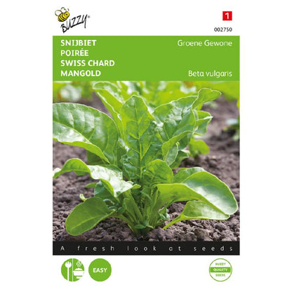 Buzzy® Swiss chard Common Green (perpetual spinach)