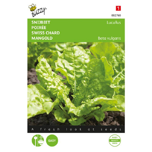 Buzzy® Swiss Chard Lucullus