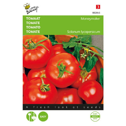 Buzzy® Tomato Moneymaker