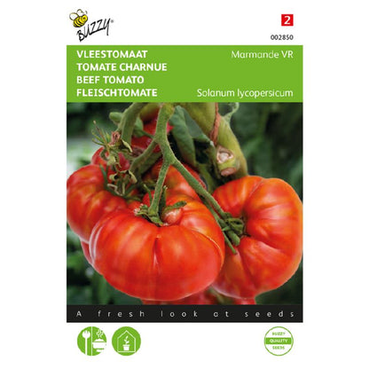 Buzzy® Beef Tomato Marmande VR