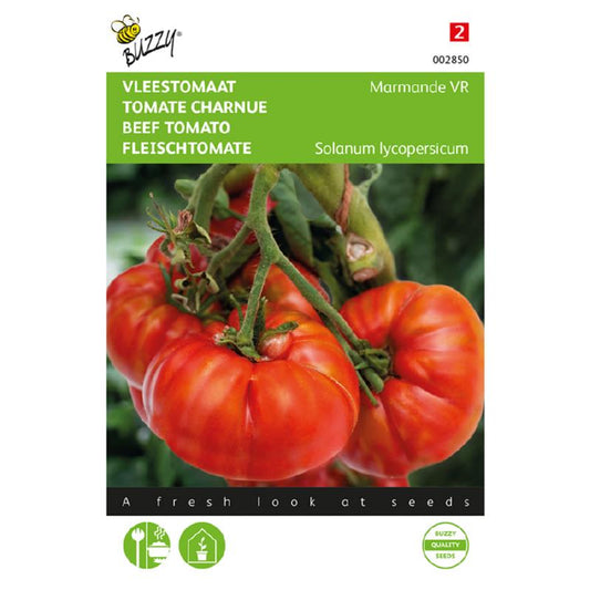 Buzzy® Beef Tomato Marmande VR