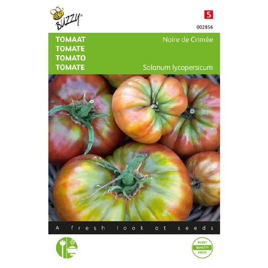 Buzzy® Tomato Black Krim - Noire de Crimée