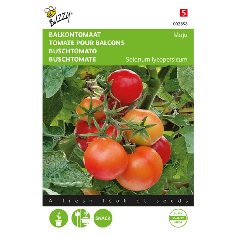 Buzzy® Bushtomato Maja