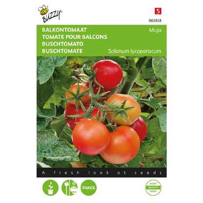 Buzzy® Bushtomato Maja