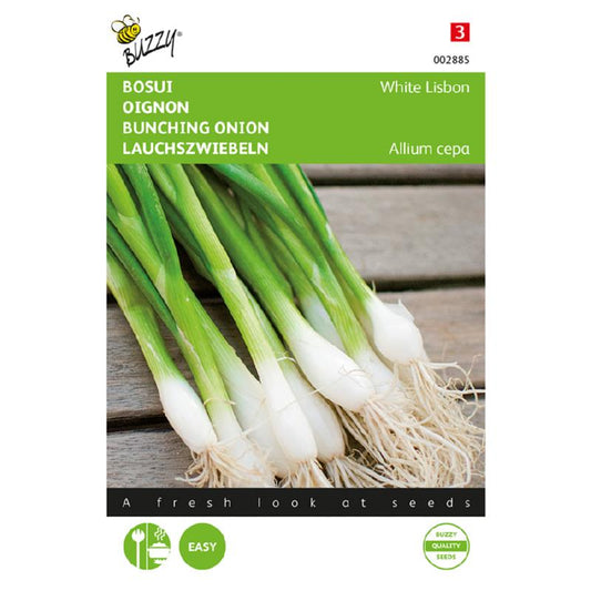 Buzzy® Bunching onion White Lisbon