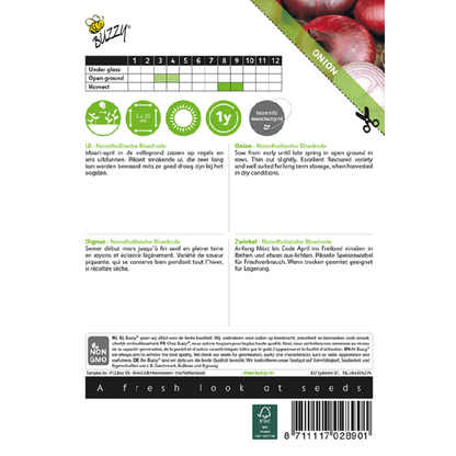 Buzzy® Onion Dutch bloodred