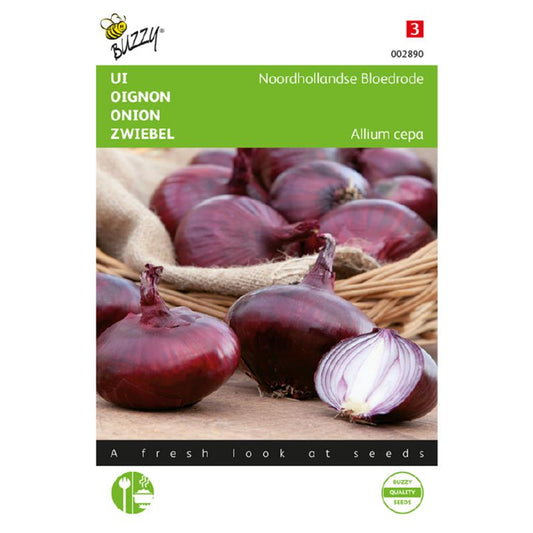 Buzzy® Onion Dutch bloodred