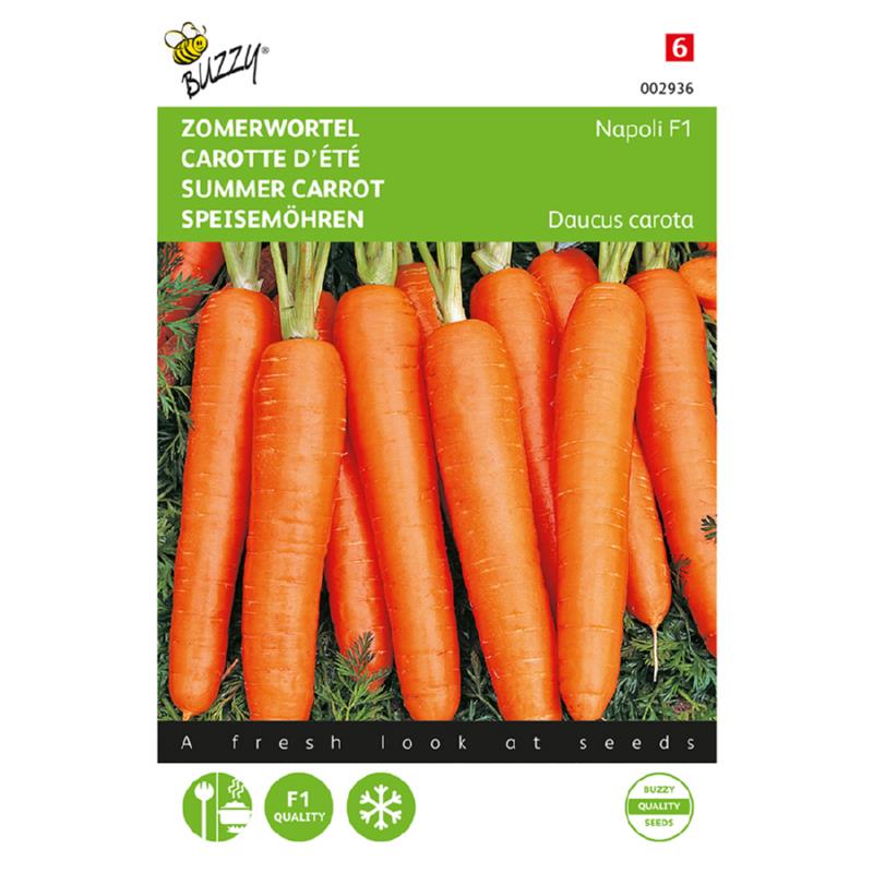 Buzzy® Summer carrot Napoli F1